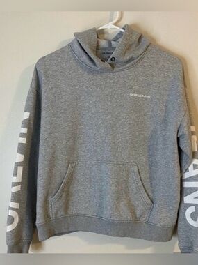 Y2K Retro Calvin Klein Jeans Oversized  Gray Logo Hoodie